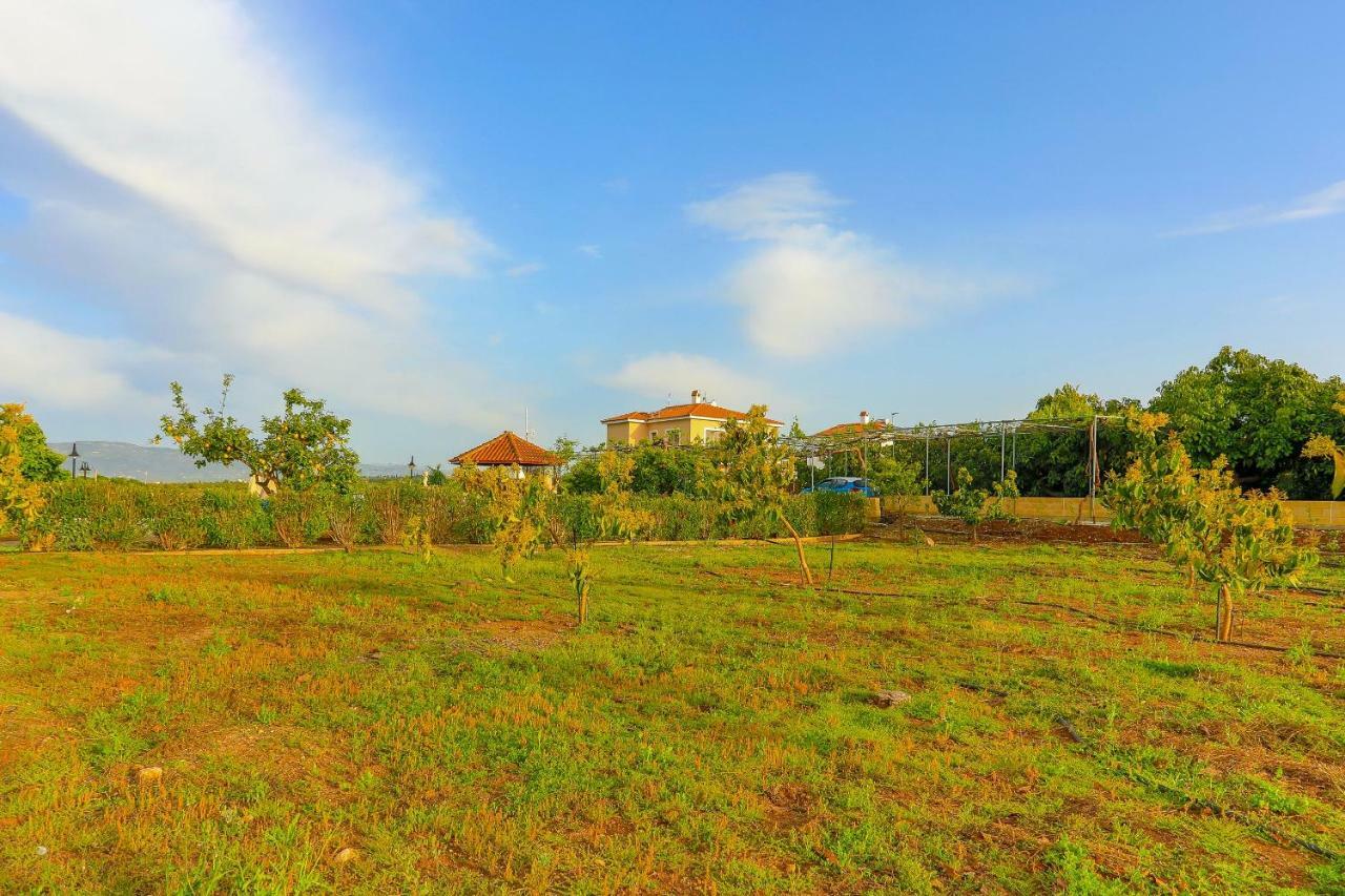 Villa Athina Finiki Polis Bagian luar foto